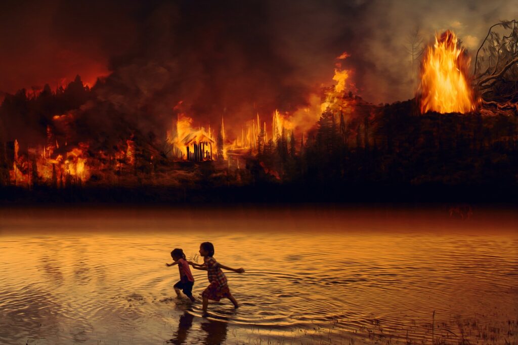 fire, forest fire, children