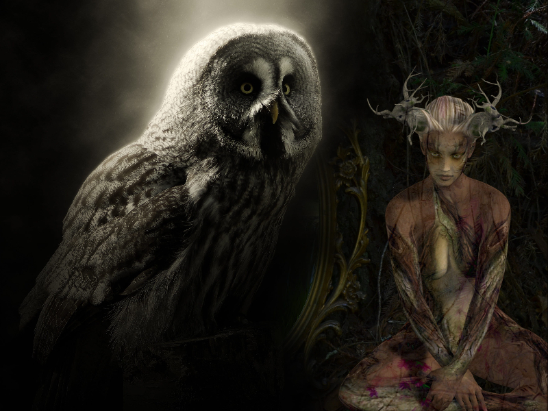 Owl JLNICH blog image for Magic Fantasy Novel