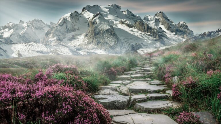 JL NICH blog beats article, Charting the Unknown: SFF Writing Adventures and 2024 Ambitions. Cover image of a stone path in the mountains with purple flowers